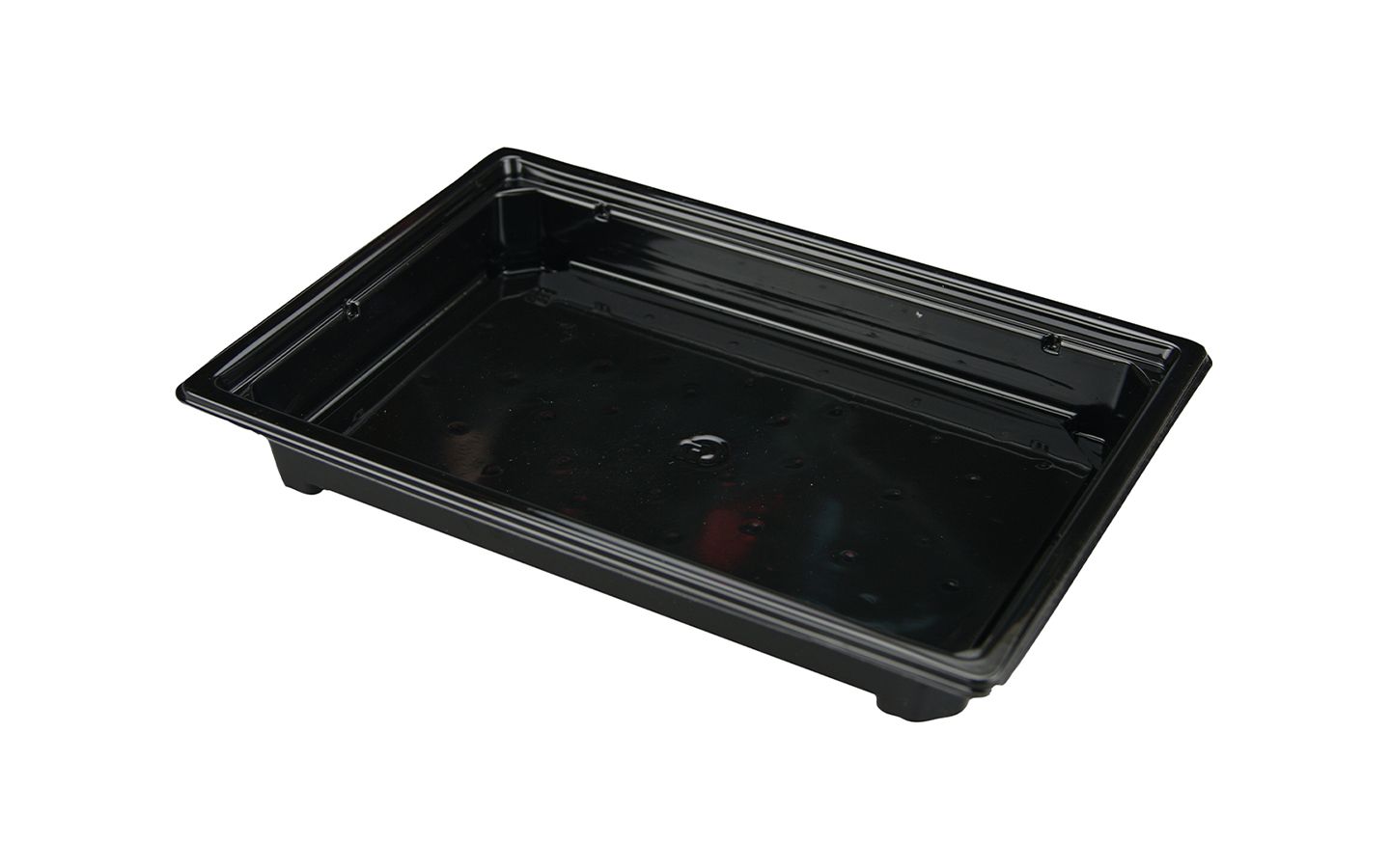 Sushi container SpK-19