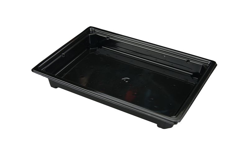 Sushi container SpK-19