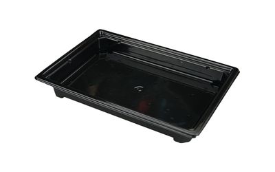 Sushi container SpK-19