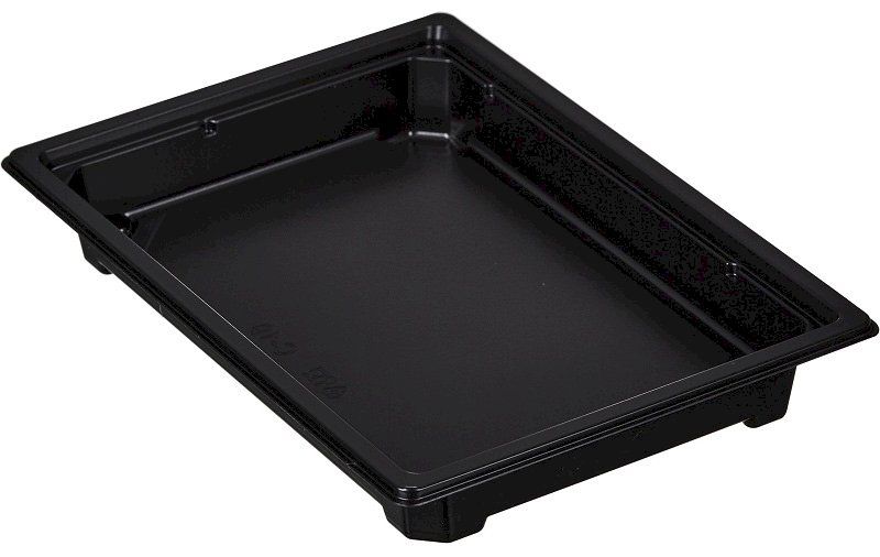 Sushi container SpК-25