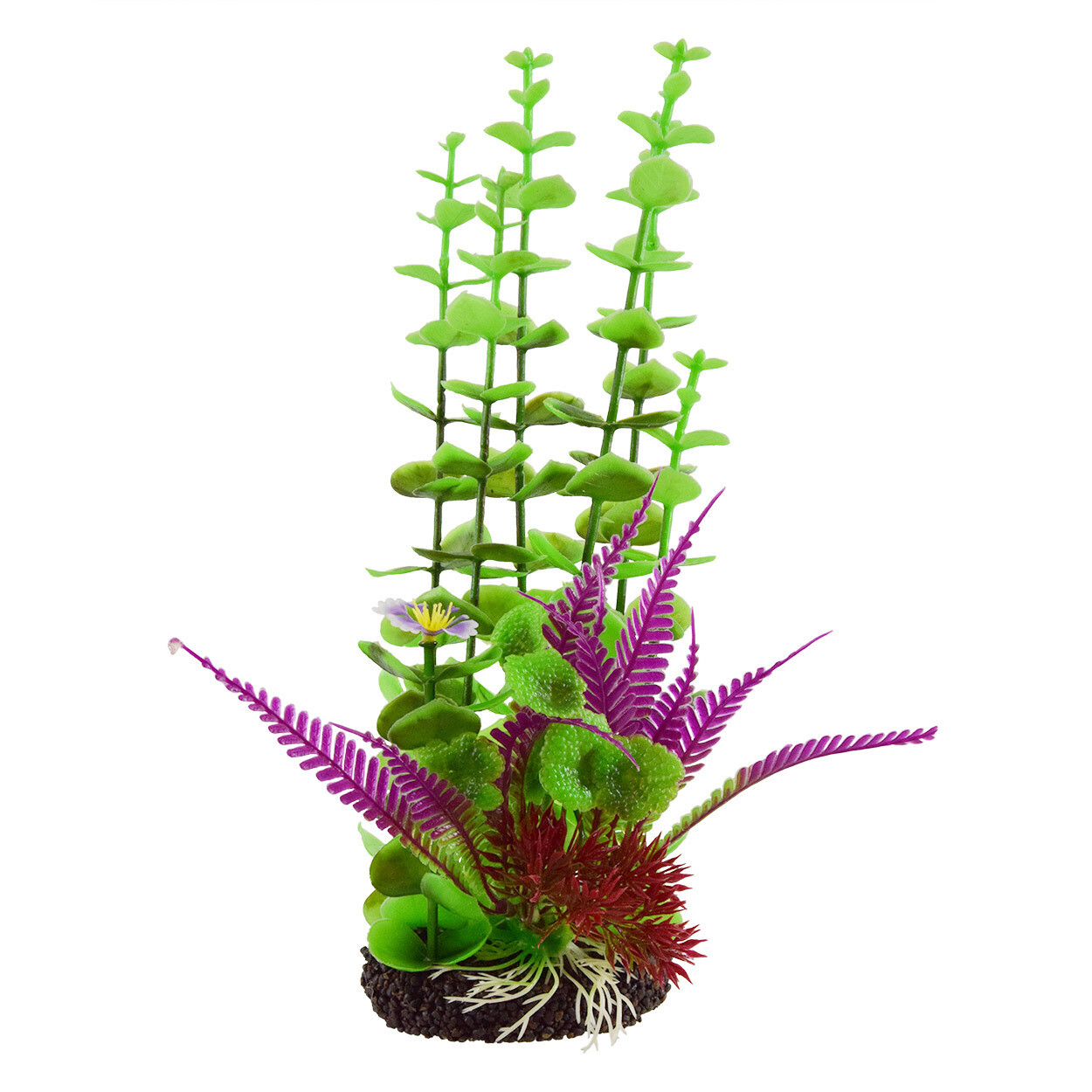 Underwater Treasures Rotala Purple Fern