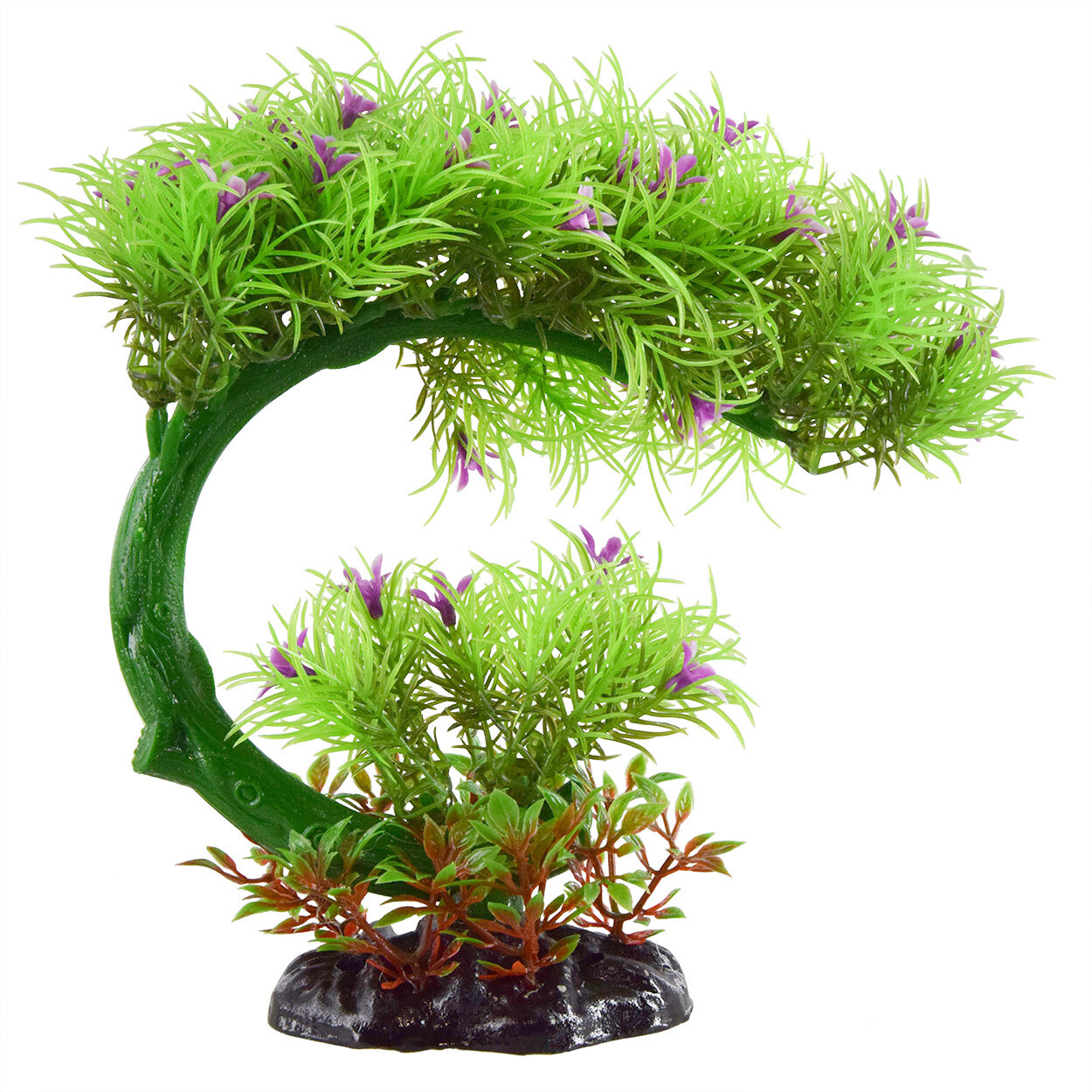 UT FLOWERING BONASAI