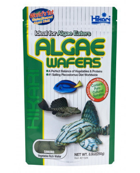Hikari Algae Wafers Rapidly Sinking Wafer Fish Food 0.7 oz