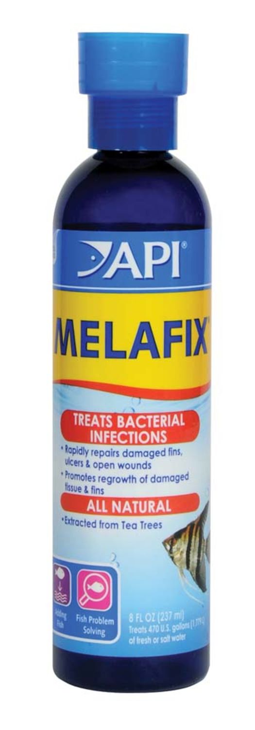 API Melafix Baterial Infection Remedy 8 oz