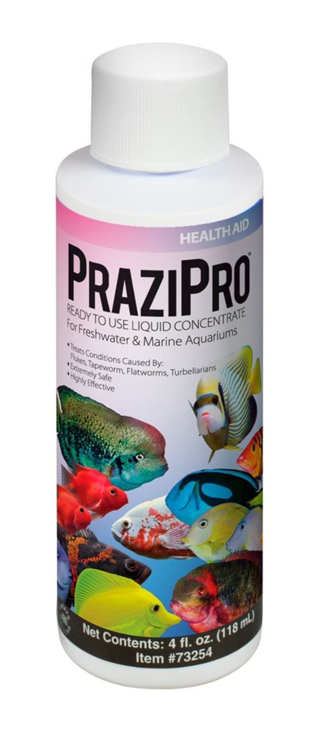 Aquarium Solutions Prazipro Liquid Treatment 4 fl oz