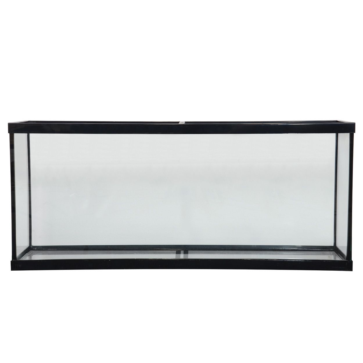 Seapora Standard Aquarium - Show - 55 gal