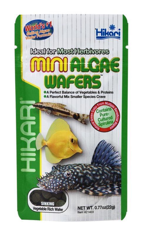 Hikari Algae Wafers Sinking Wafer 0.77 oz, Mini