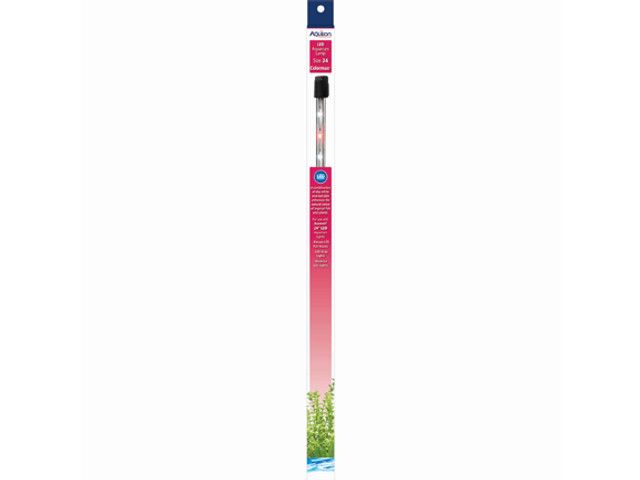 AQE BULB LED COLORMAX 24
