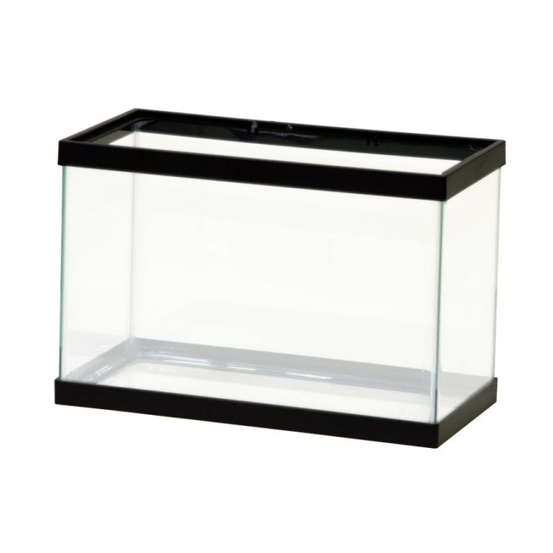 Aqueon Glass Tank Black 12X6X8 2.5G