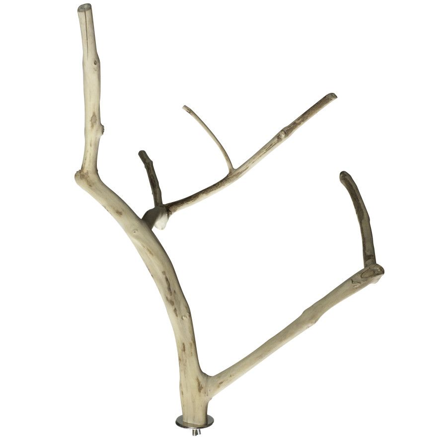 A&amp;E Cages Java Wood Multi Branch Bird Perch MD