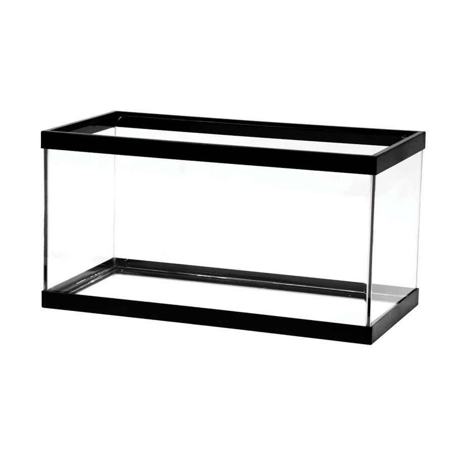 Aqueon Standard Glass Rectangle Aquarium Clear Silicone, Black, 1ea/15 gal