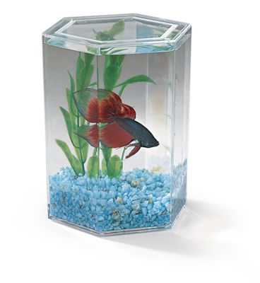 Lee&#39;s Aquarium &amp; Pet Products Hex Betta Keeper Tank Clear, 24 oz