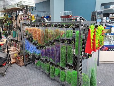 Aquarium Supplies