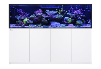 Aquarium