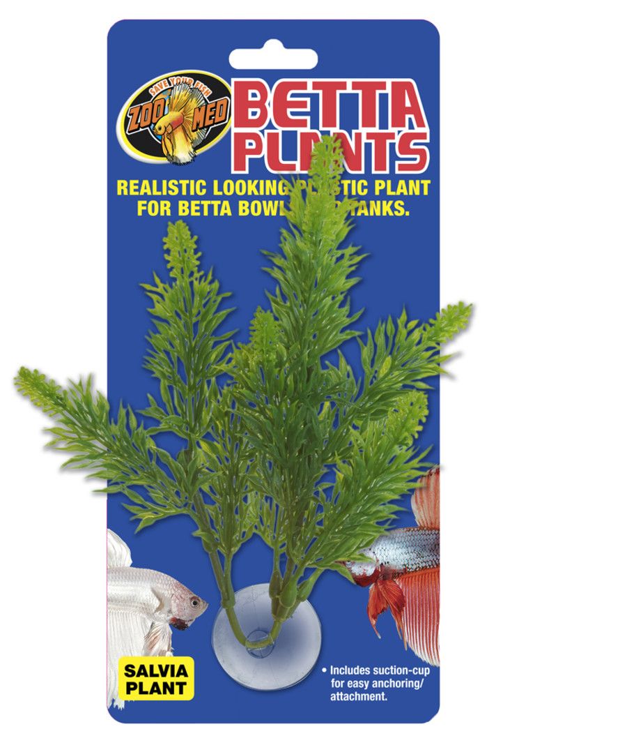 Zoo Med Betta Plant Salvia Green,