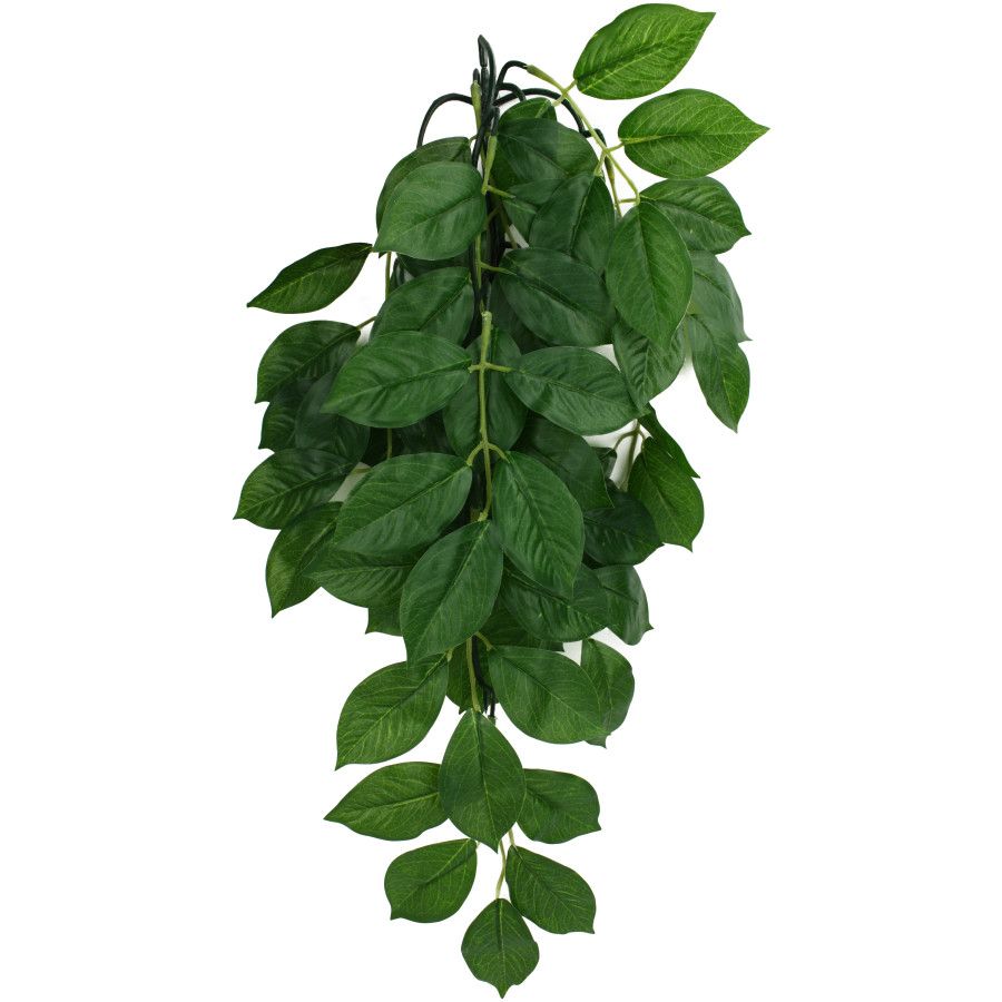 Komodo Green Leaf Hanging Plant 16&quot; Sm