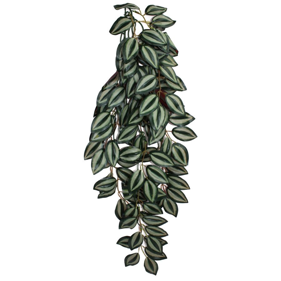 Komodo Zebrina Hanging Plant LG, 26 in