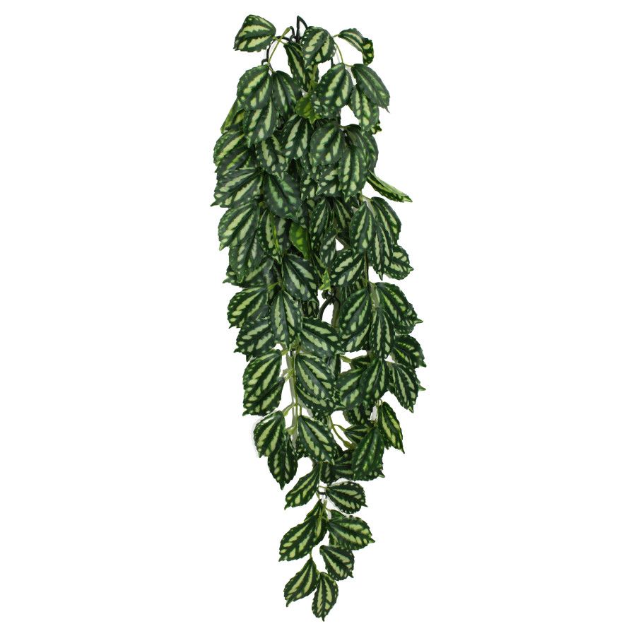 Komodo Two-Toned Leaf Hanging Plant LG, 26 in