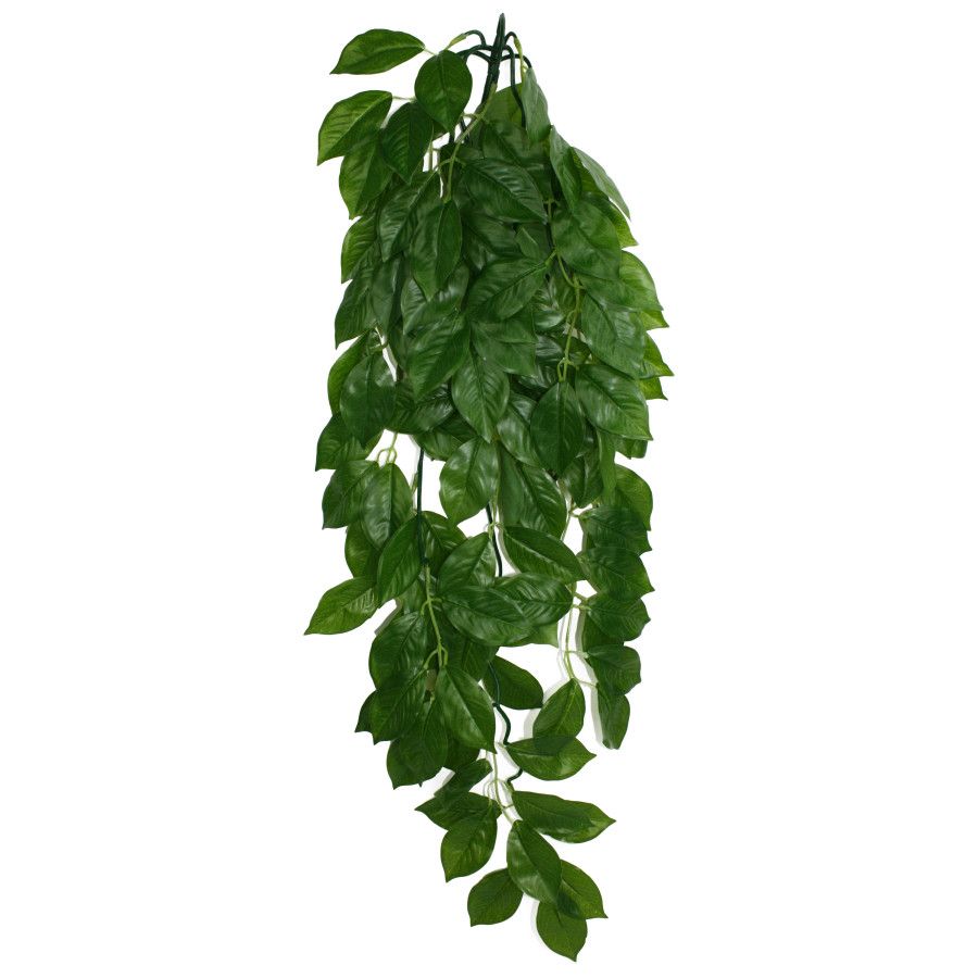 Komodo Green Leaf Hanging Plant LG, 26 in