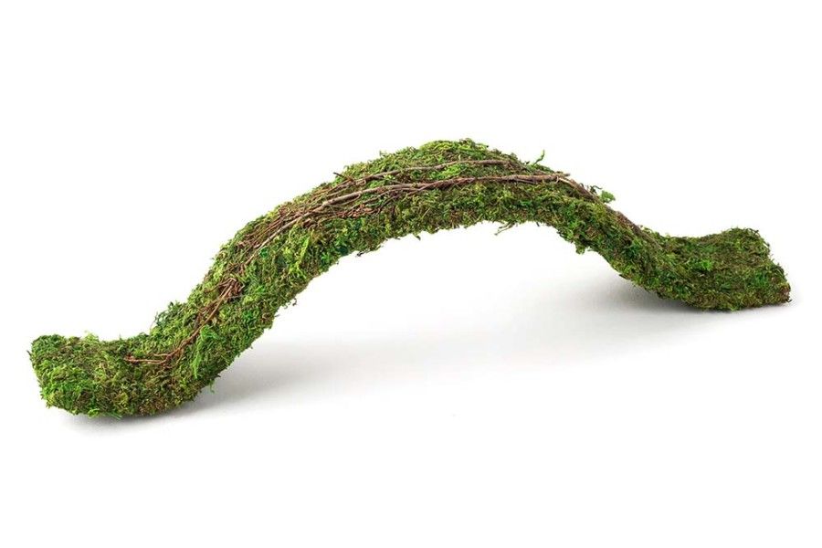 Galapagos Flexible Bridge Terrarium Ornament Fresh Green, 2 ft