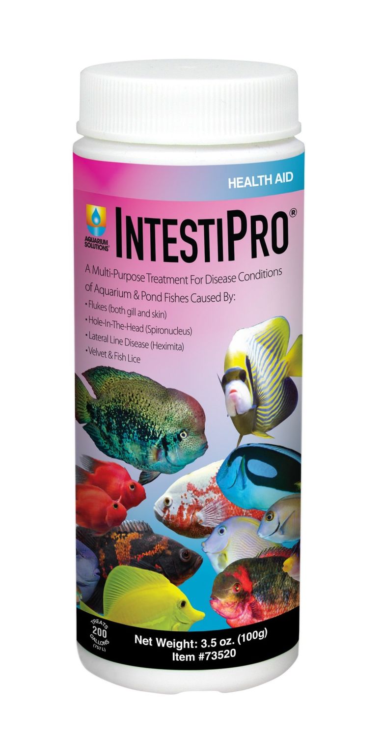 Aquarium Solutions IntestiPro Multi-Purpose Treatment 3.5 oz