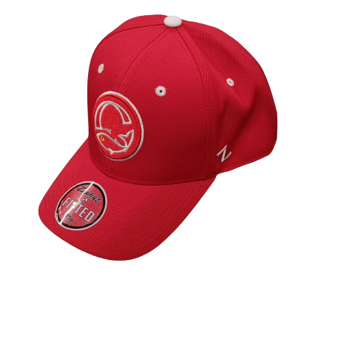 CAP PLAYER HOME, Size: 6 3/4