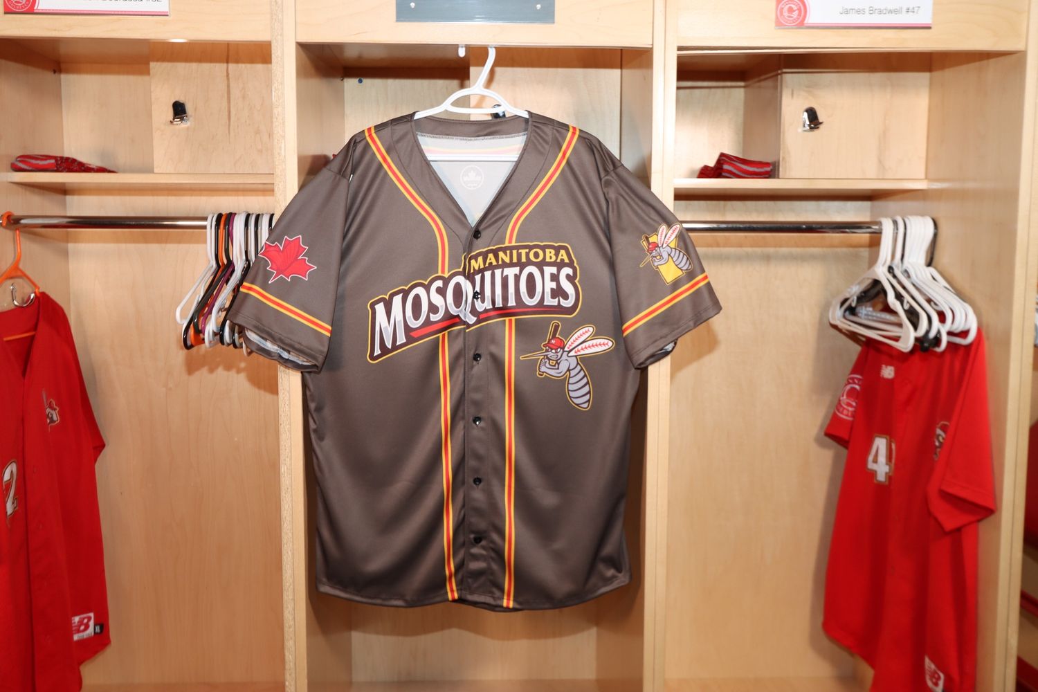 Manitoba Mosquitoes Jersey
