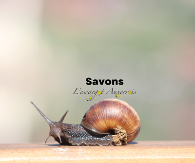 Savons