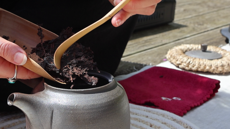 24th August Outdoor Tea Ceremony at Combe Hay Vineyard