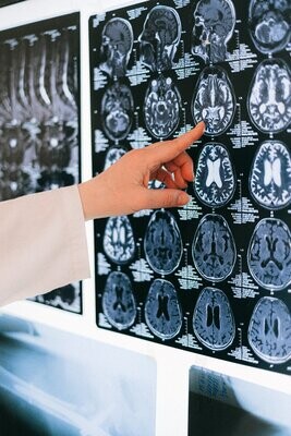 Brain Training