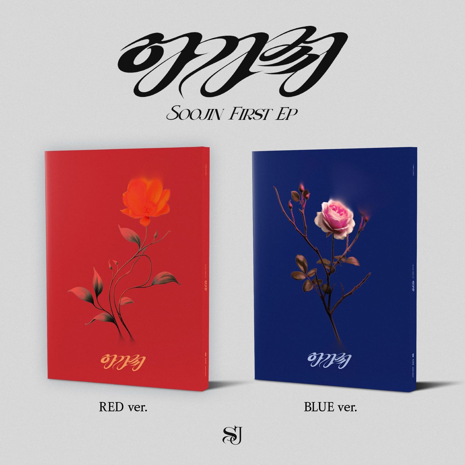 SOOJIN AGASSY - Random ver.