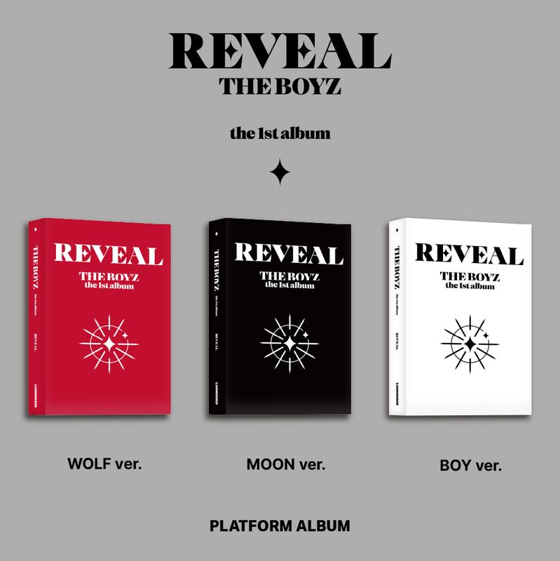 THE BOYZ REVEAL - Random Platform
