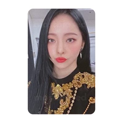 &amp; Album - LOONA VIVI