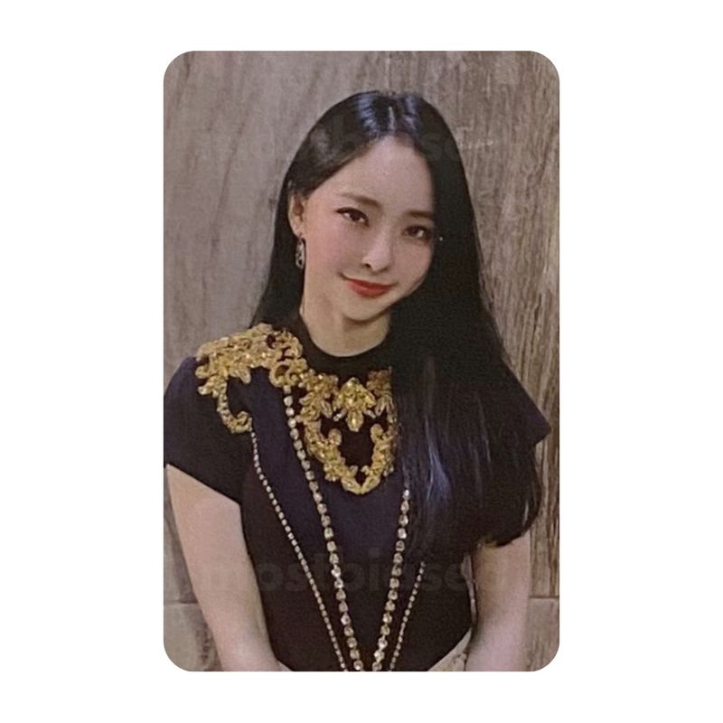 &amp; Album - LOONA VIVI