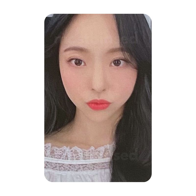 &amp; Album - LOONA VIVI