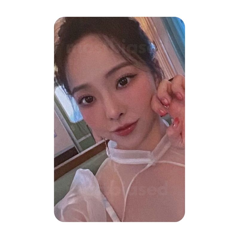 Flip That Album - LOONA VIVI