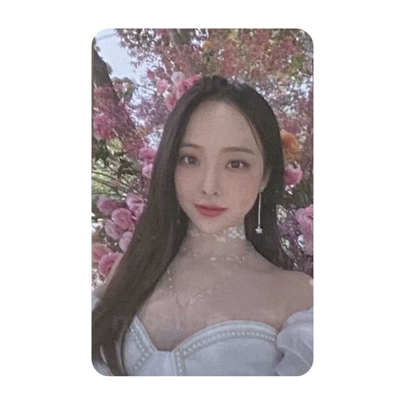 Flip That Album - LOONA VIVI