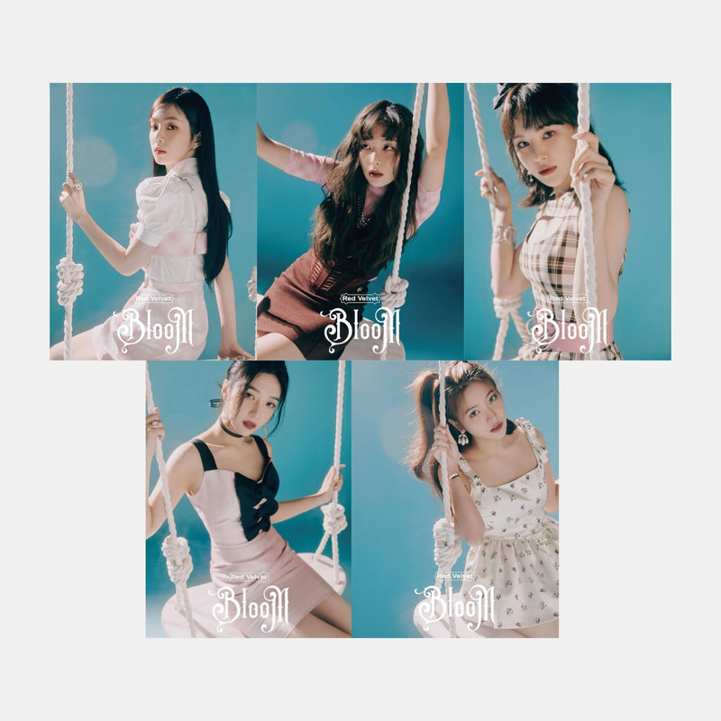 Red Velvet Bloom - Member Select