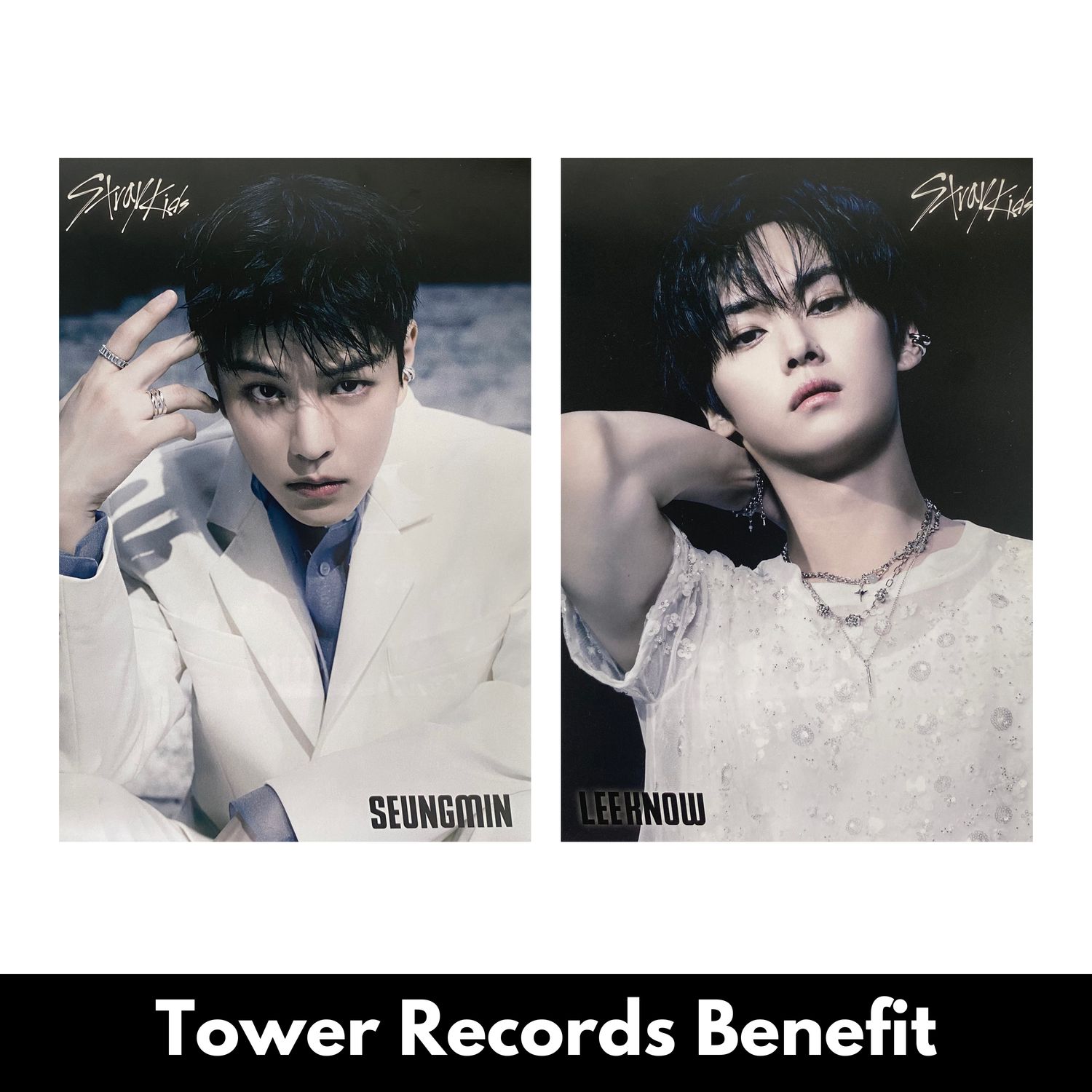 Stray Kids GIANT - Tower Records Benefit Mini Poster