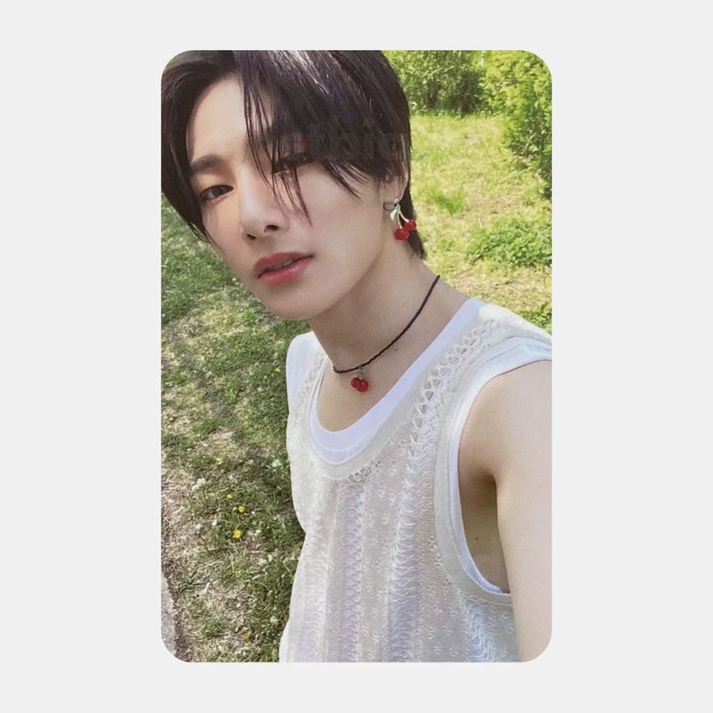 MAXIDENT Album - Stray Kids I.N