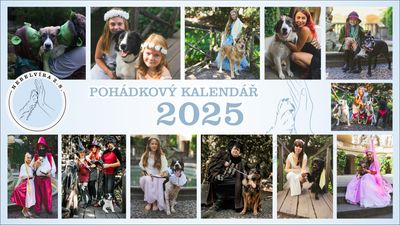 Nástěnný kalendář - Pohádkový kalendář 2025