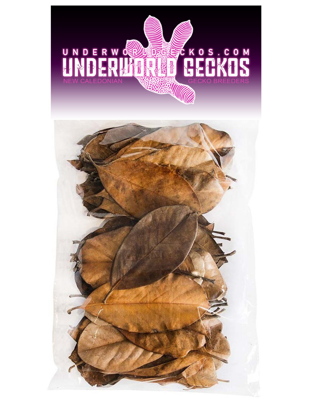 UNDERWORLD GECKOS Reptile Substrate Decor - Magnolia Leaves [50 PACK]