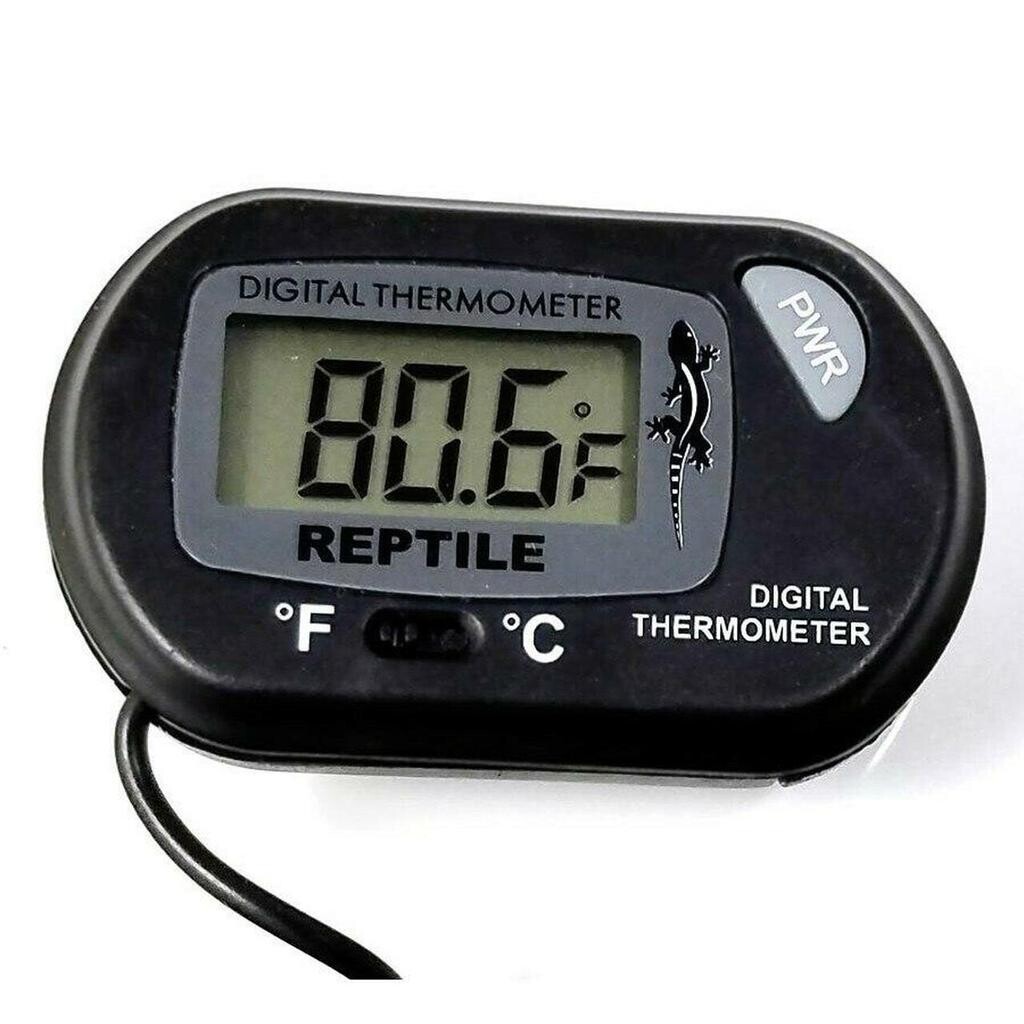 Pangea Digital Reptile Thermometer