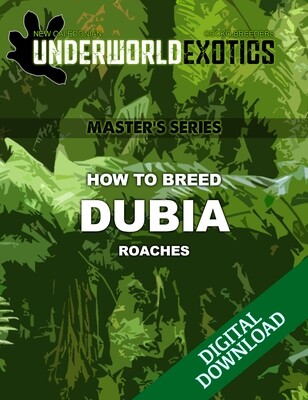 UEA Master's Series - HOW TO BREED: DUBIA ROACHES [INSTANT DIGITAL DOWNLOAD]