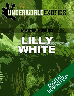 UEA Master's Series - LILLY WHITE GENE [INSTANT DIGITAL DOWNLOAD]