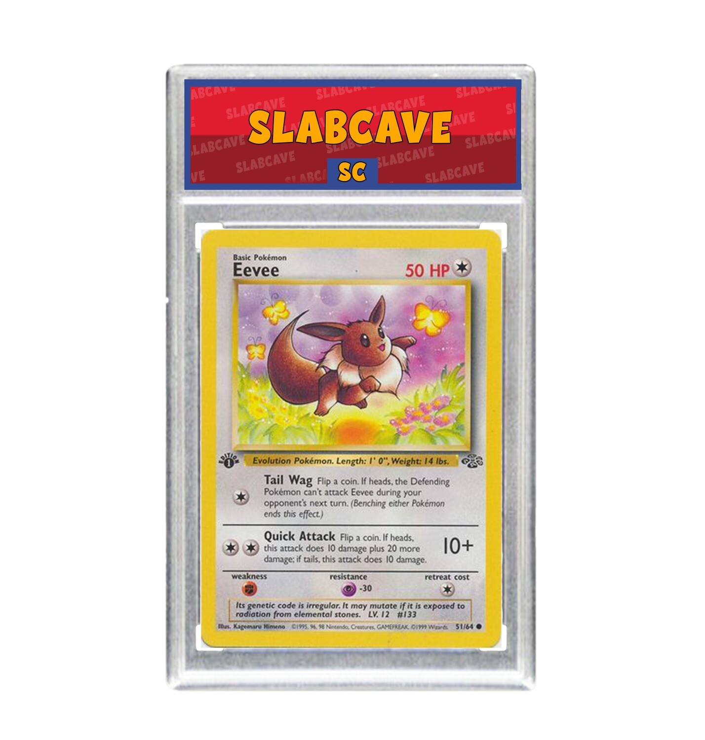 Graded Pokemon Card: SC9 - Eevee 51/64 [BASE Jungle 1st Edition] [Common]
