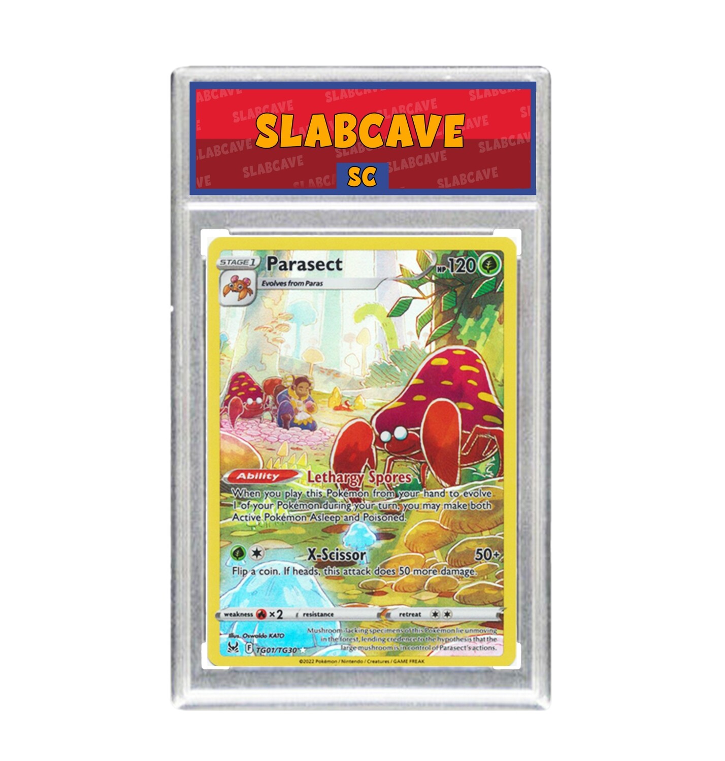 Graded Pokemon Card: SC7 - Parasect TG01/TG30 [SWSH Lost Origin] [Trainer Gallery]