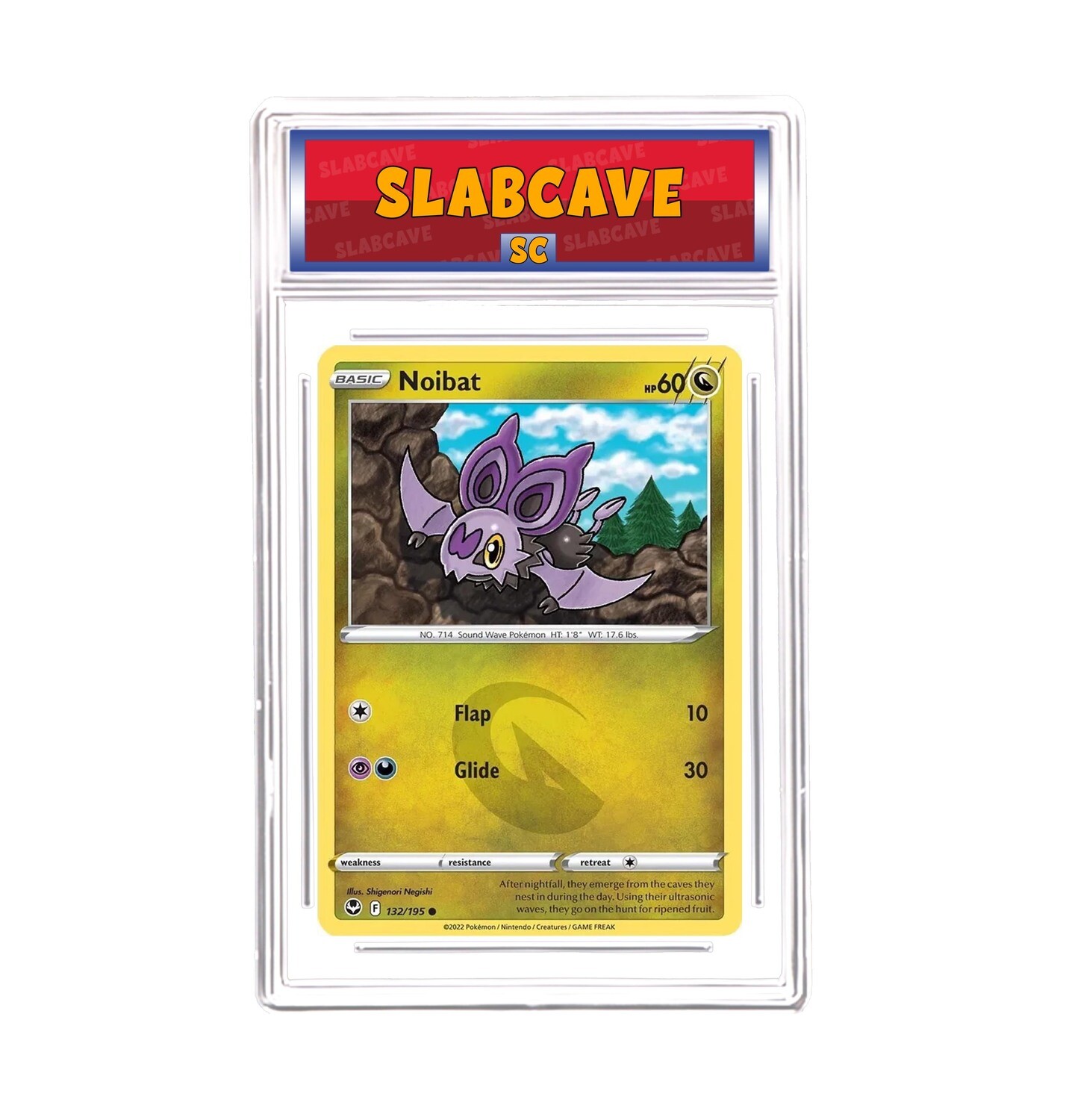 Graded Pokemon Card: SC 9 - Noibat 132/195 [SWSH Silver Tempest] [Common Reverse Holo]