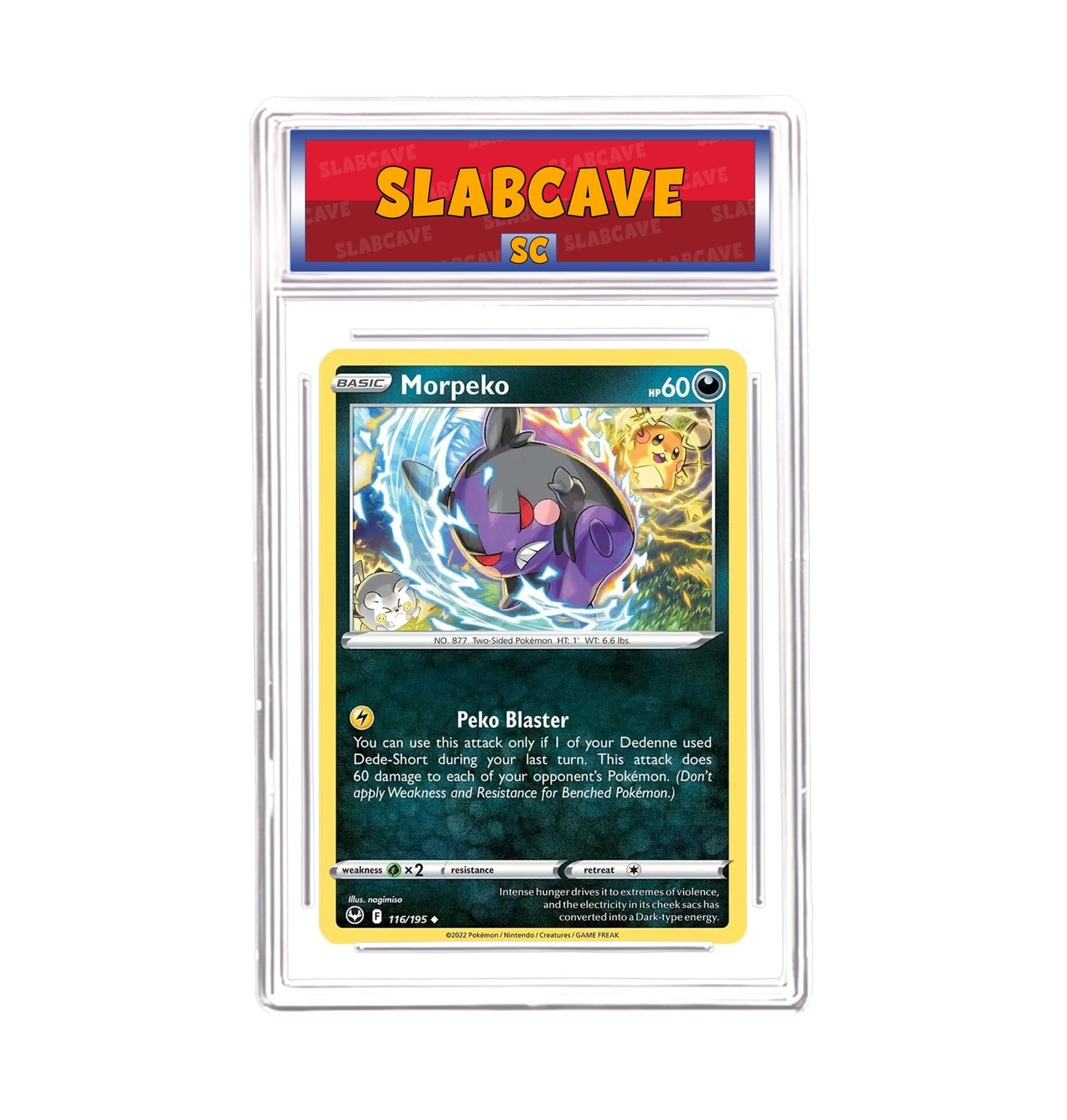 Graded Pokemon Card: SC 10 - Morpeko 116/195 [SWSH Silver Tempest] [Uncommon]
