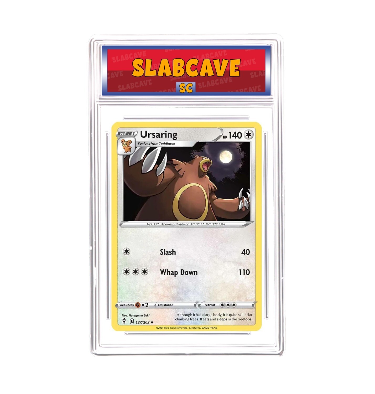 Graded Pokemon Card: SC 10 - Ursaring 127/203 [SWSH Evolving Skies] [Uncommon]
